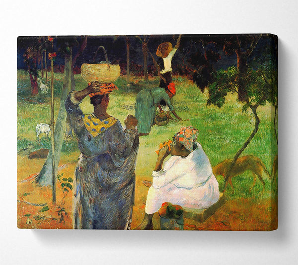  A Canvas Print of Gauguin Mango Fruit Canvas Art