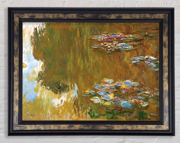 Monet The Water Lily Ponda Framed Print