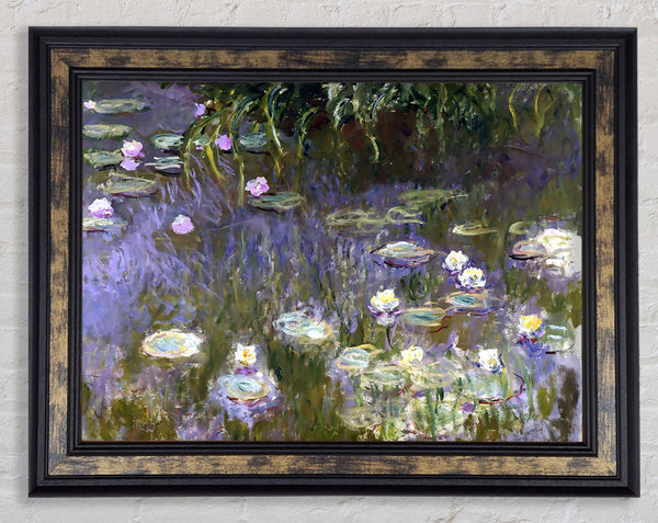 Monet Water Lilies Framed Print