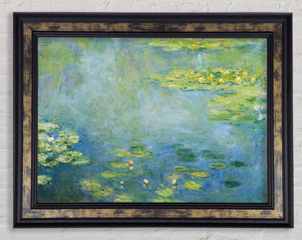 Monet Waterlilies Framed Print