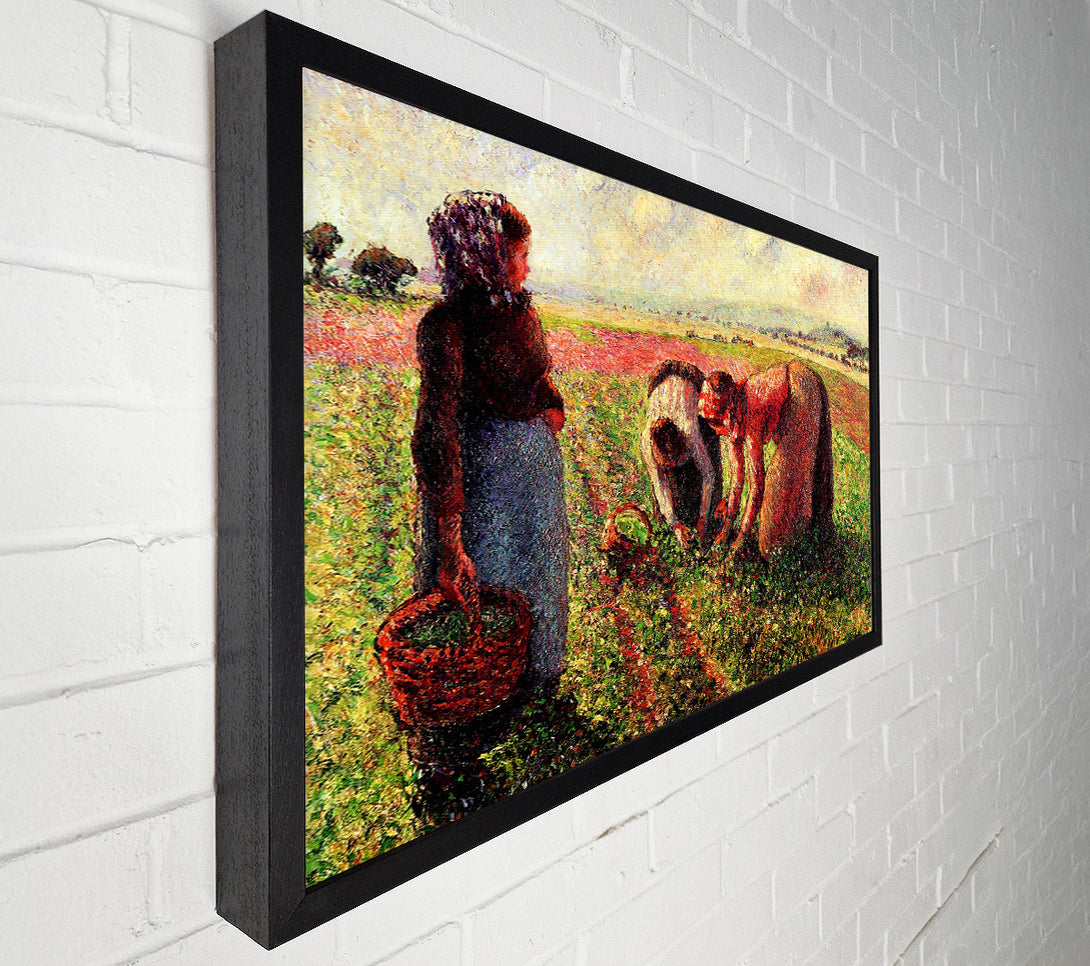  A Canvas Print of Pissarro Peas Growing In Eragny Canvas Art