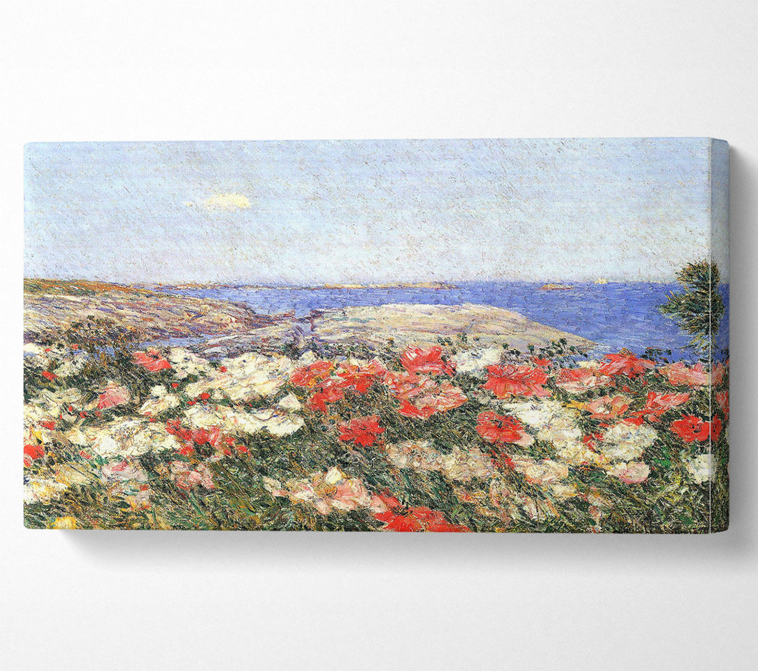 A Canvas Print of Hassam Poppies On The Isles Of Shoals Canvas Print