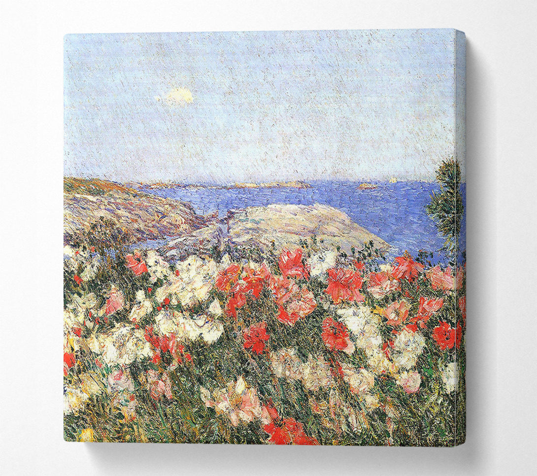  A Canvas Print of Hassam Poppies On The Isles Of Shoals Canvas Print