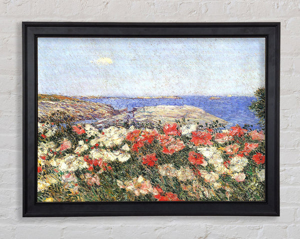 Hassam Poppies On The Isles Of Shoals Framed Print