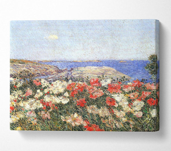  A Canvas Print of Hassam Poppies On The Isles Of Shoals Canvas Print
