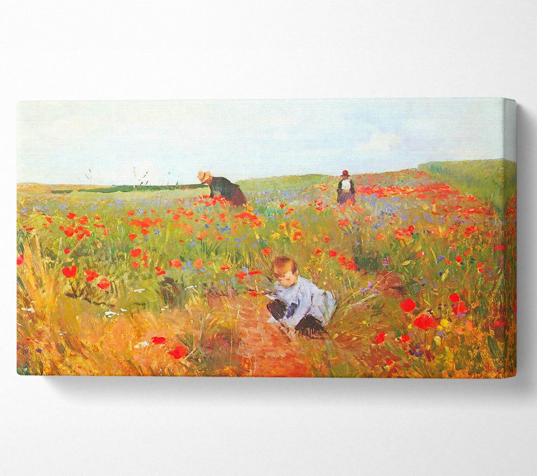  A Canvas Print of Cassatt Poppy In The Field Canvas Print