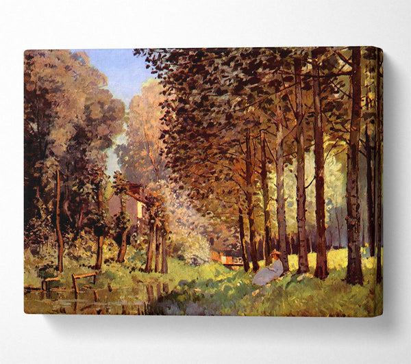  A Canvas Print of Sisley Rest At The River Bank Canvas Print