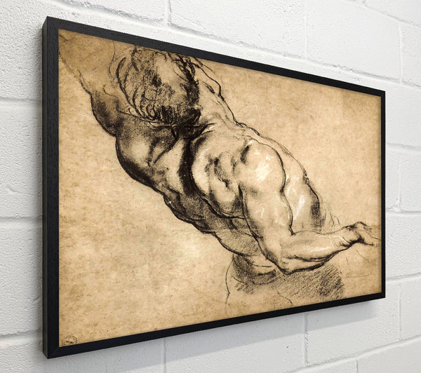 Rubens Study Of Mans Torso