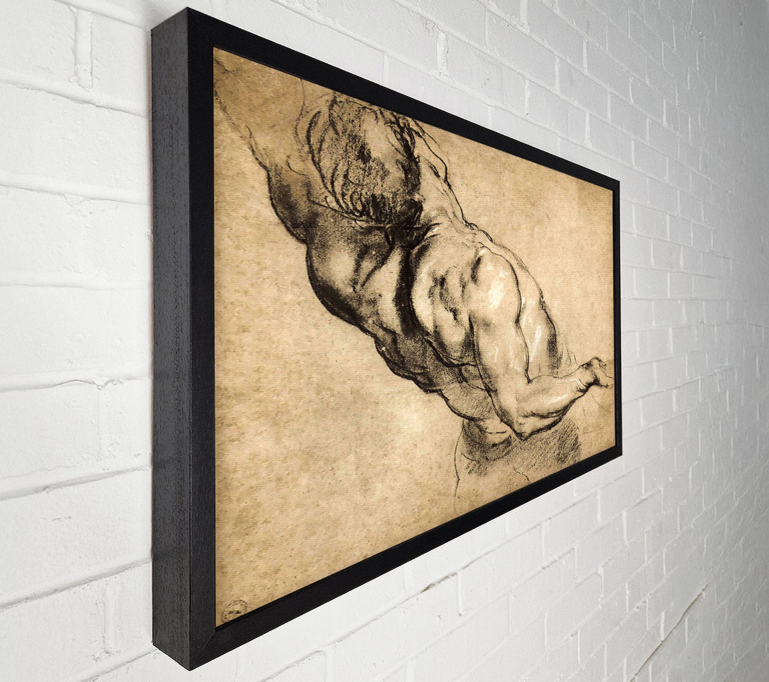  A Canvas Print of Rubens Study Of Mans Torso Canvas Print