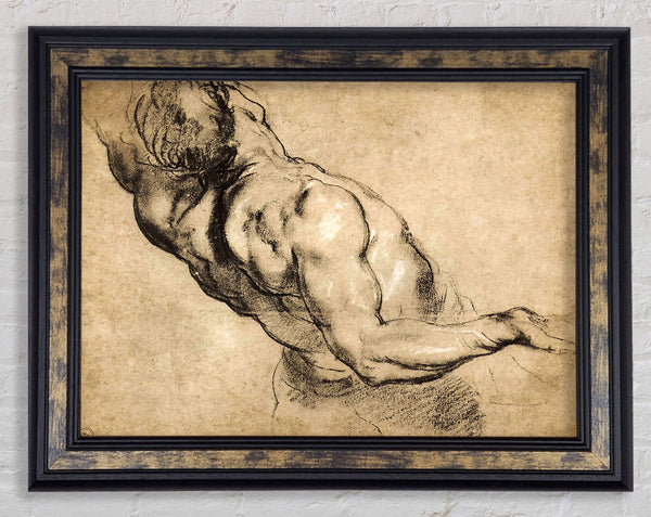 Rubens Study Of Mans Torso Framed Print