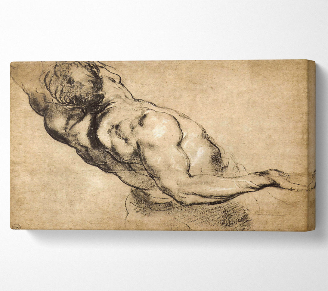  A Canvas Print of Rubens Study Of Mans Torso Canvas Print