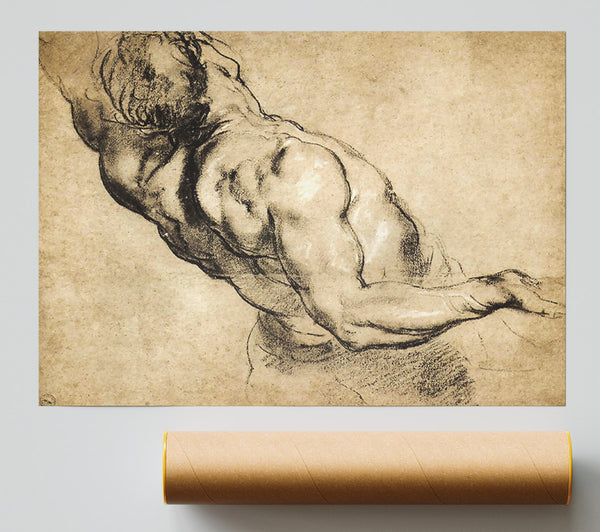 Rubens Study Of Mans Torso Print
