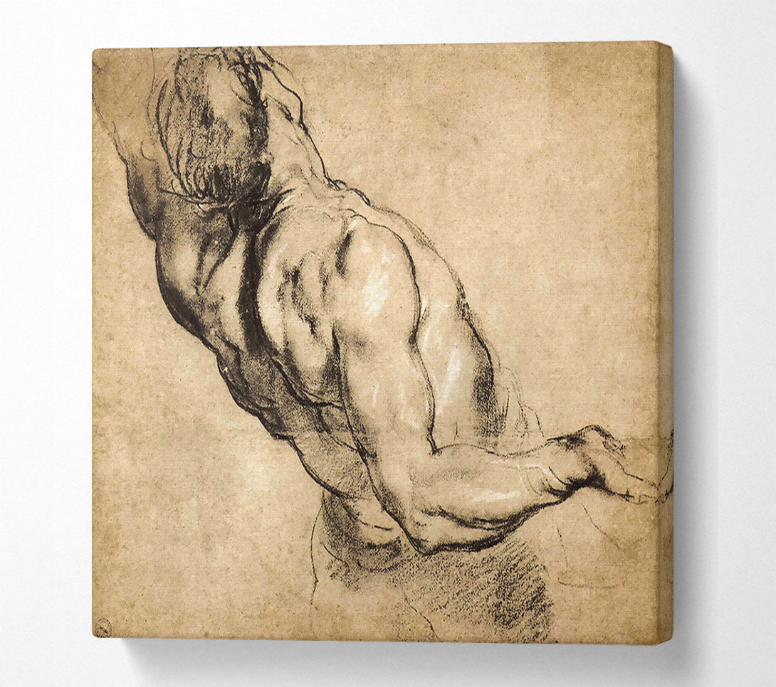  A Canvas Print of Rubens Study Of Mans Torso Canvas Print