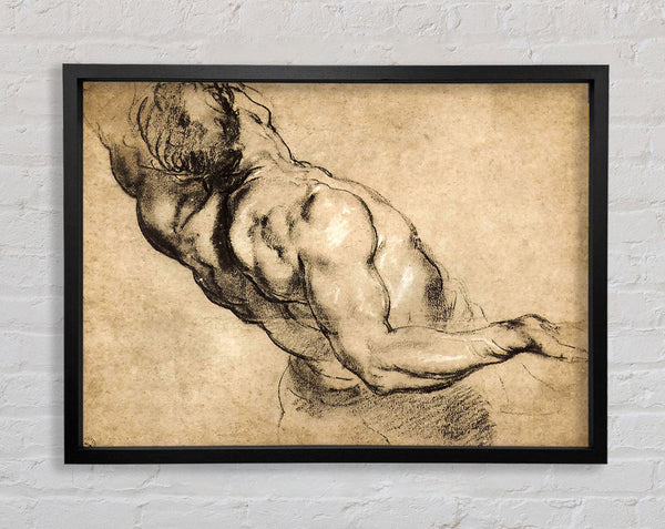 Rubens Study Of Mans Torso Framed Print