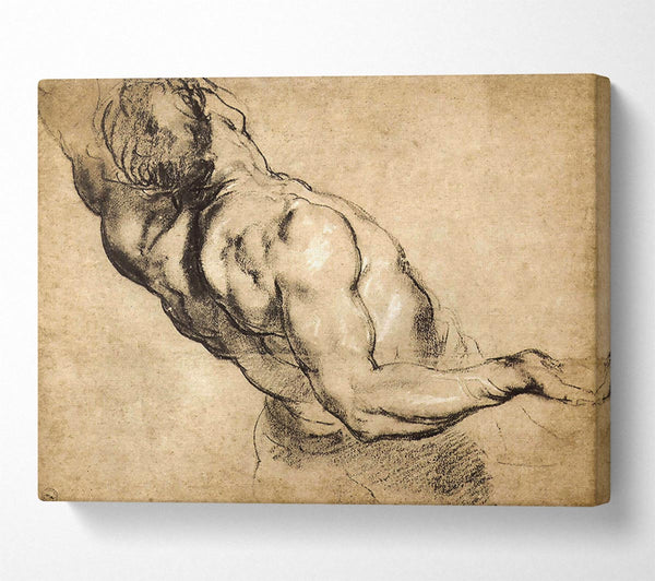  A Canvas Print of Rubens Study Of Mans Torso Canvas Print