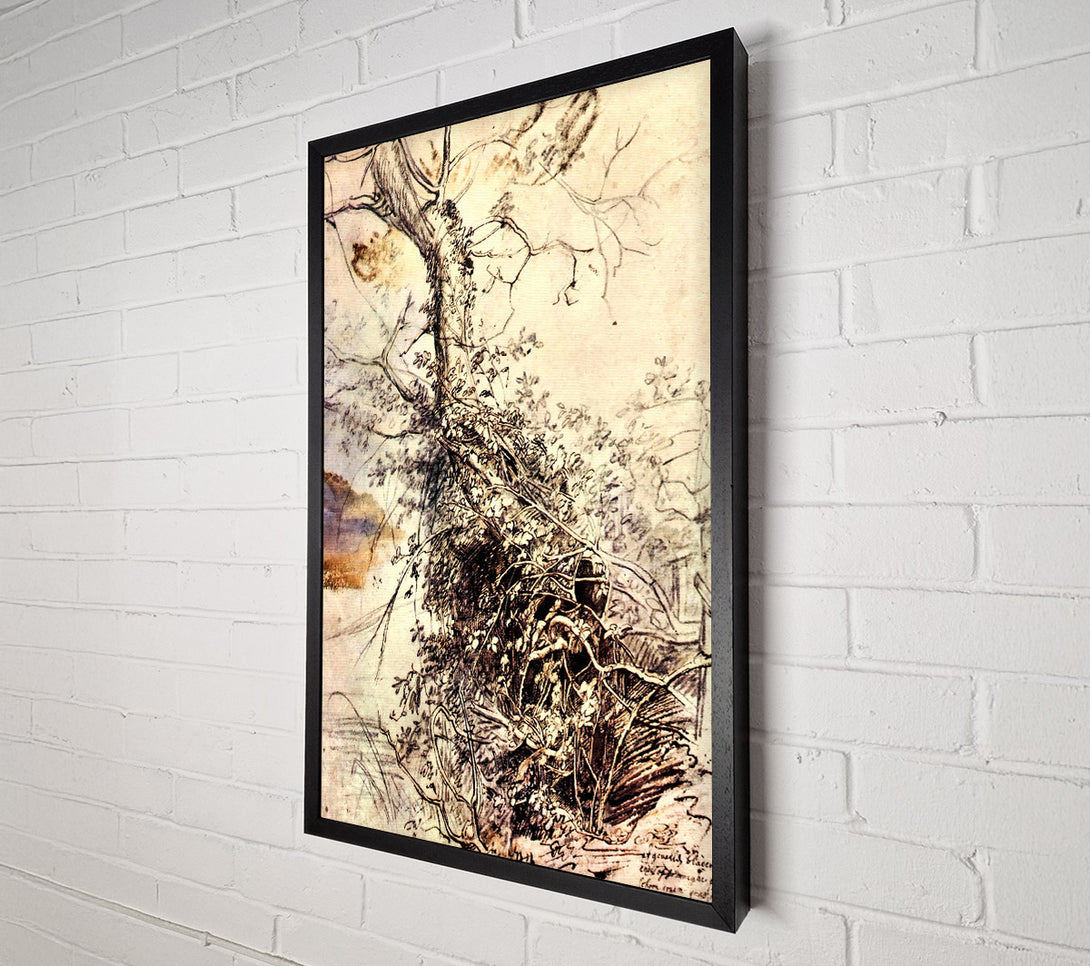  A Canvas Print of Rubens Study Of Tree Canvas Art
