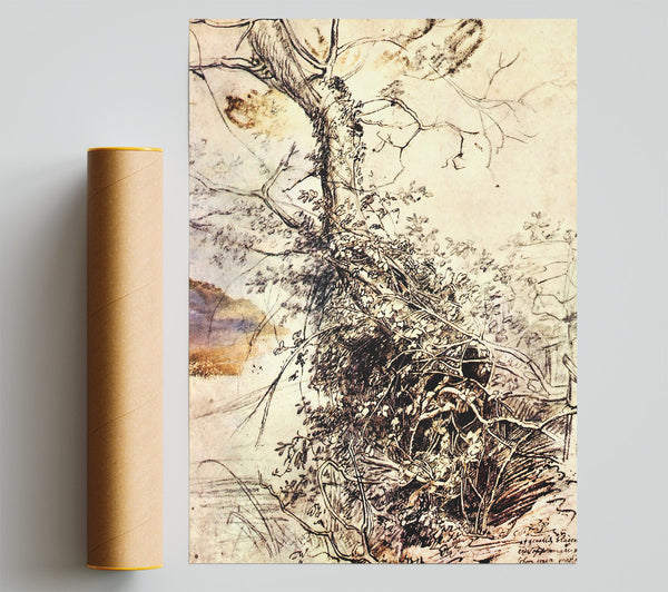 Rubens Study Of Tree Giclee Print
