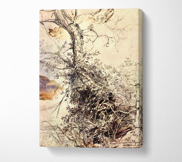  A Canvas Print of Rubens Study Of Tree Canvas Art