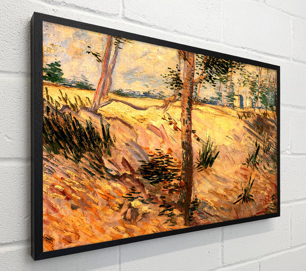 Van Gogh Trees In A Field On A Sunny Day