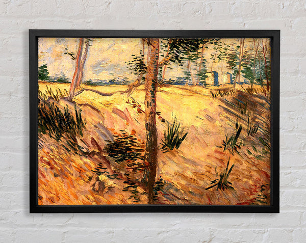 Van Gogh Trees In A Field On A Sunny Day Framed Print