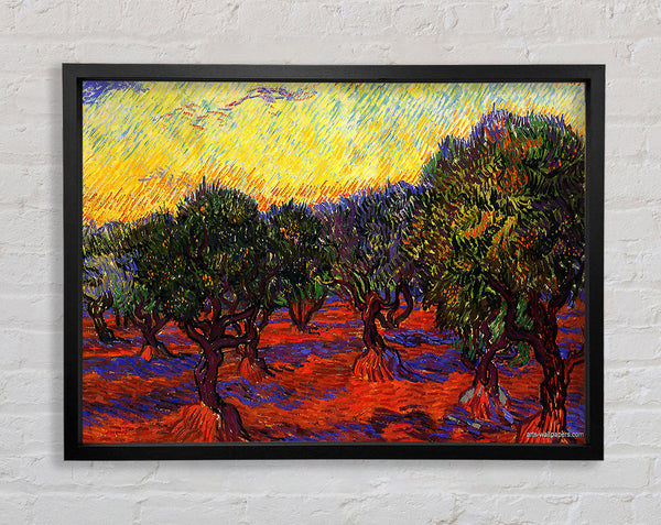 Van Gogh 1889 Olive Grove Framed Print