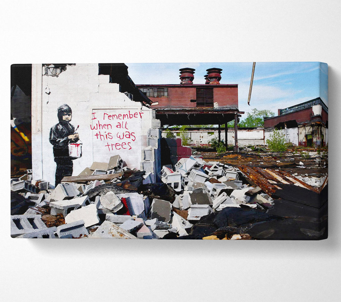  A Canvas Print of Banksy I Remember When All This Was Trees Canvas Wall Art