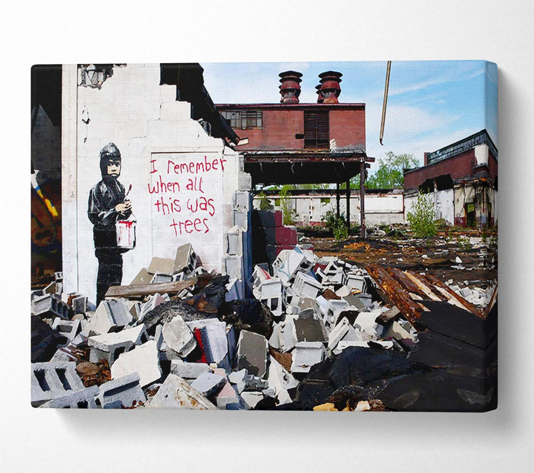  A Canvas Print of Banksy I Remember When All This Was Trees Canvas Wall Art