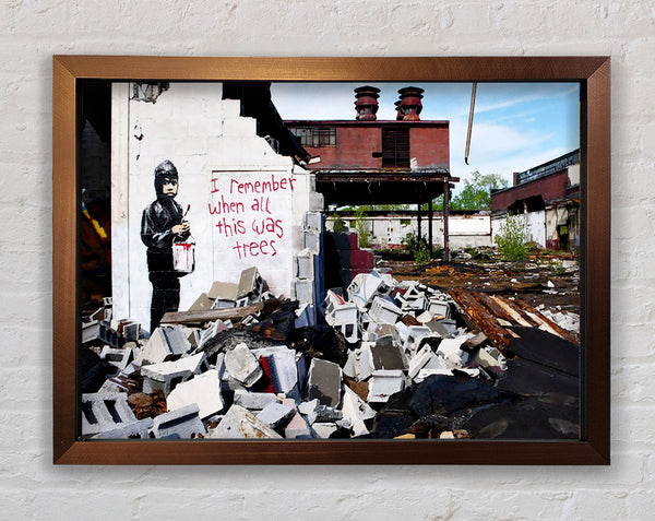 Banksy I Remember When All This Was Trees Framed Print
