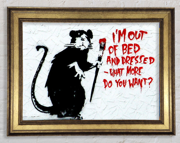 Ich bin aus dem Bett und angezogen, was willst du mehr, Ratte