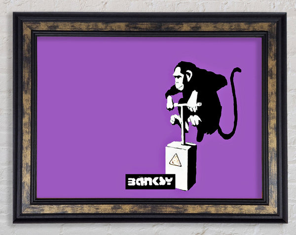 Monkey Detonator Purple Framed Print