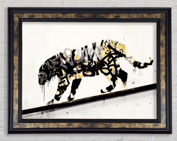 Tiger Framed Print