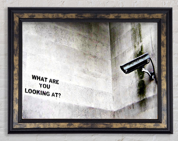 What Are You Looking At Framed Print