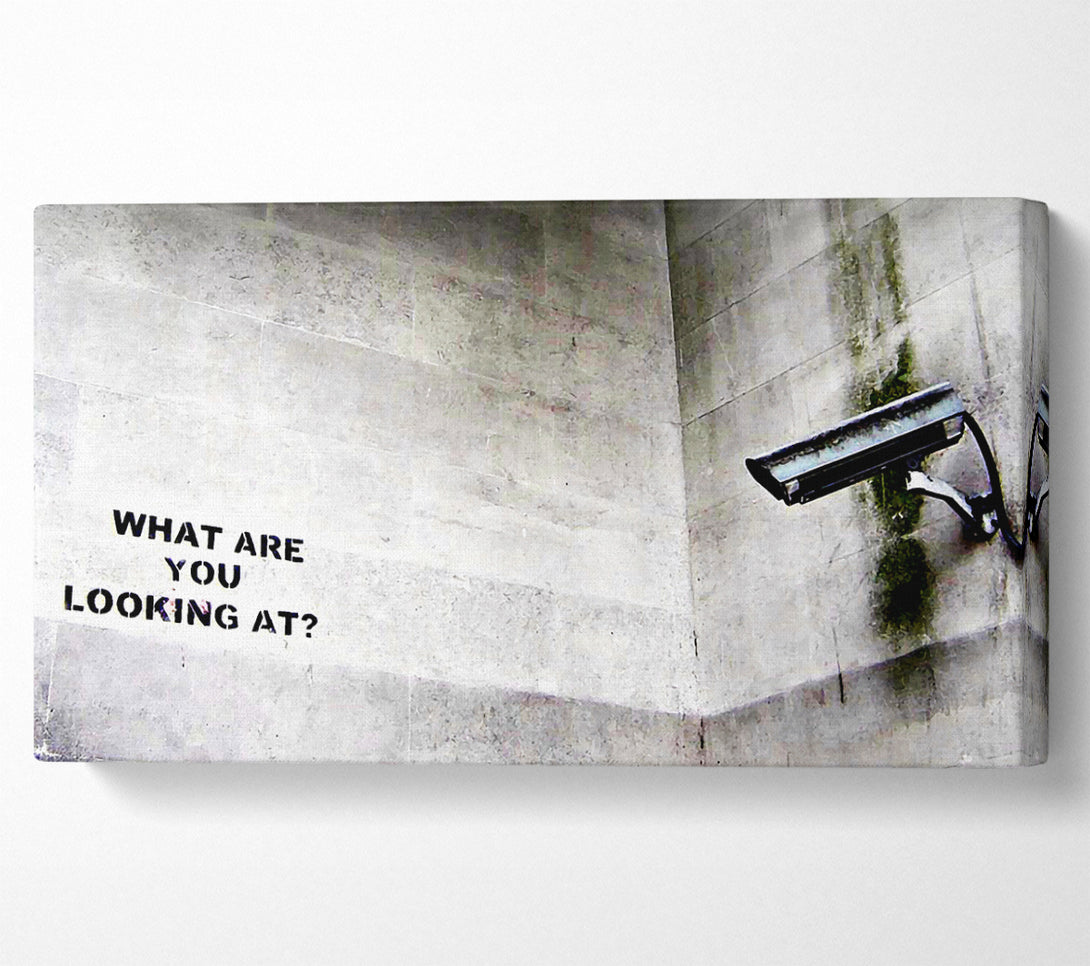  A Canvas Print of Banksy What Are You Looking At Canvas Art
