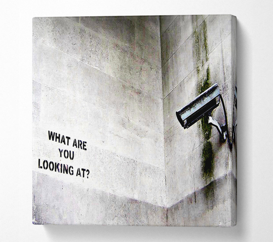  A Canvas Print of Banksy What Are You Looking At Canvas Art