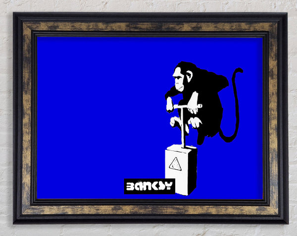 Monkey Detonator Blue Framed Print