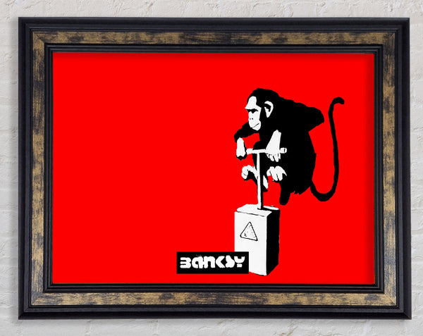 Monkey Detonator Red Framed Print
