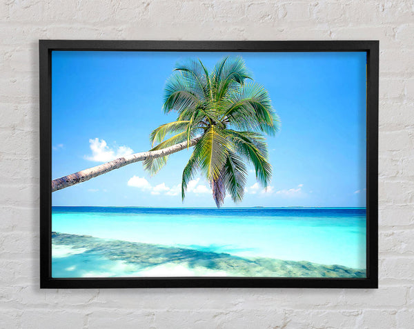 Tropical Island Framed Print