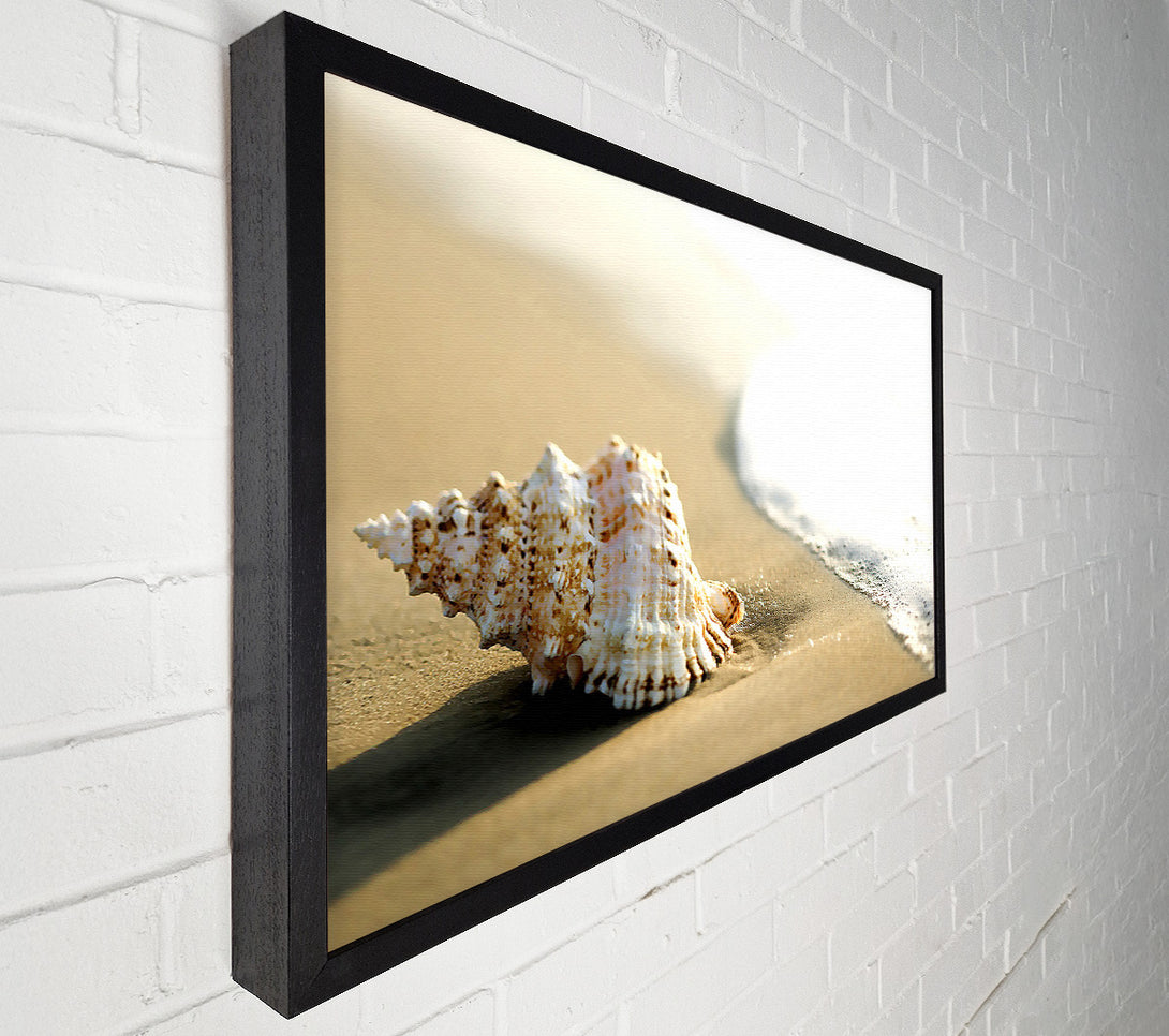  A Canvas Print of Whelk Shell On The Beach 2 Canvas Print