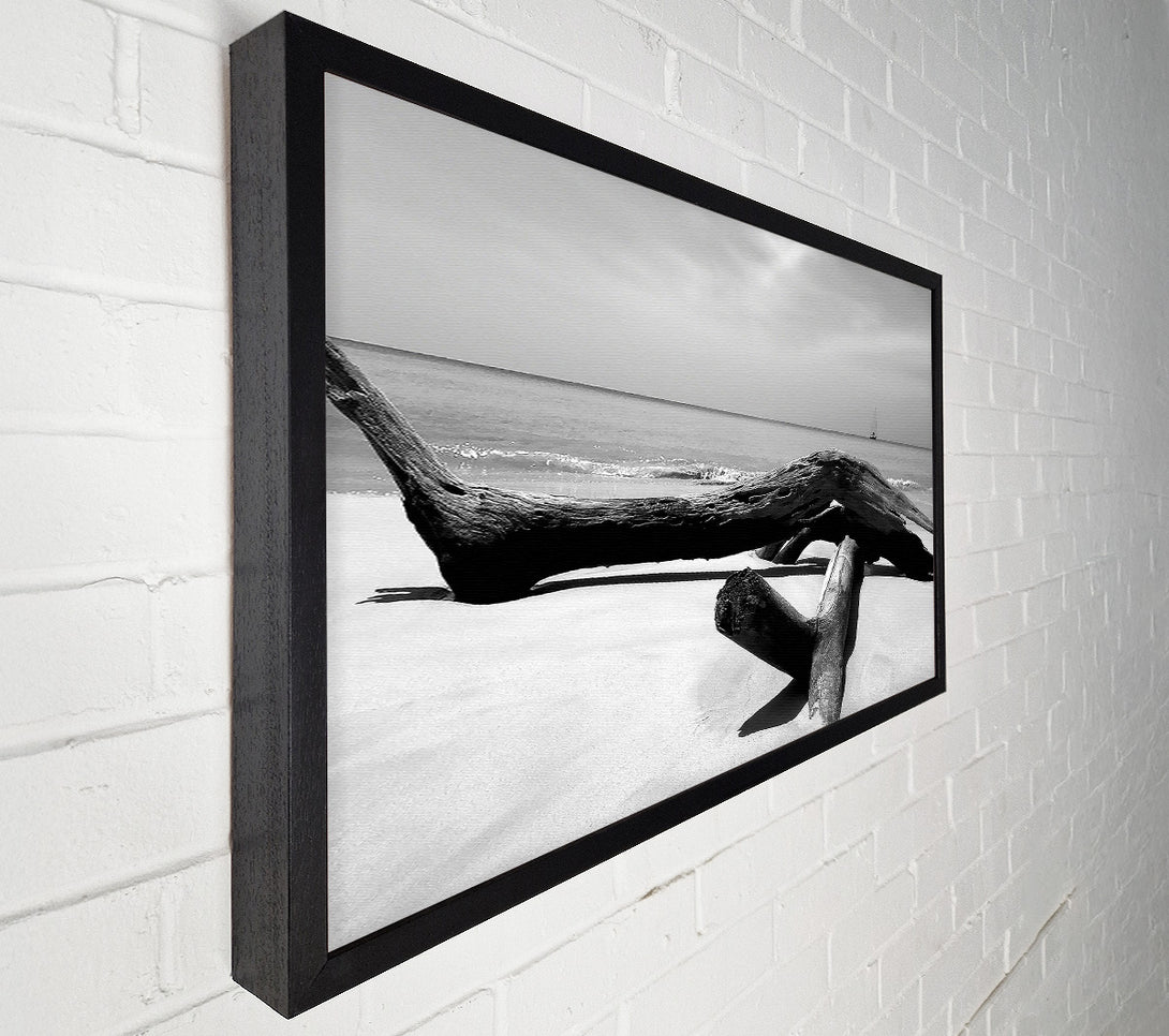  A Canvas Print of Ocean Drift Wood On The Shore B n W Canvas Print