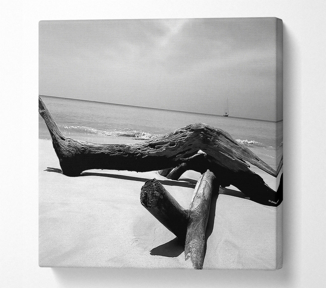  A Canvas Print of Ocean Drift Wood On The Shore B n W Canvas Print