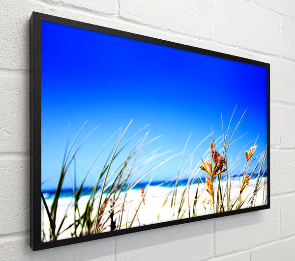 Clear Beach Sky