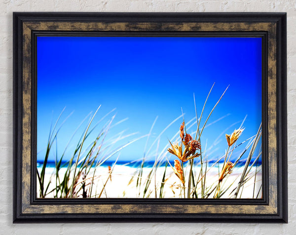 Clear Beach Sky Framed Print