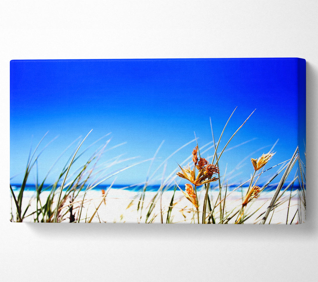  A Canvas Print of Clear Beach Sky Canvas Art