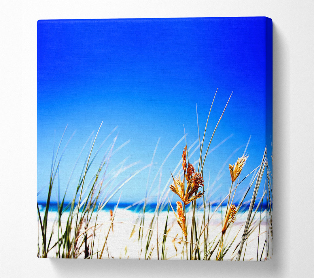  A Canvas Print of Clear Beach Sky Canvas Art