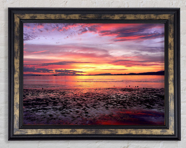 Pebbles In the Morning Sunrise Framed Print