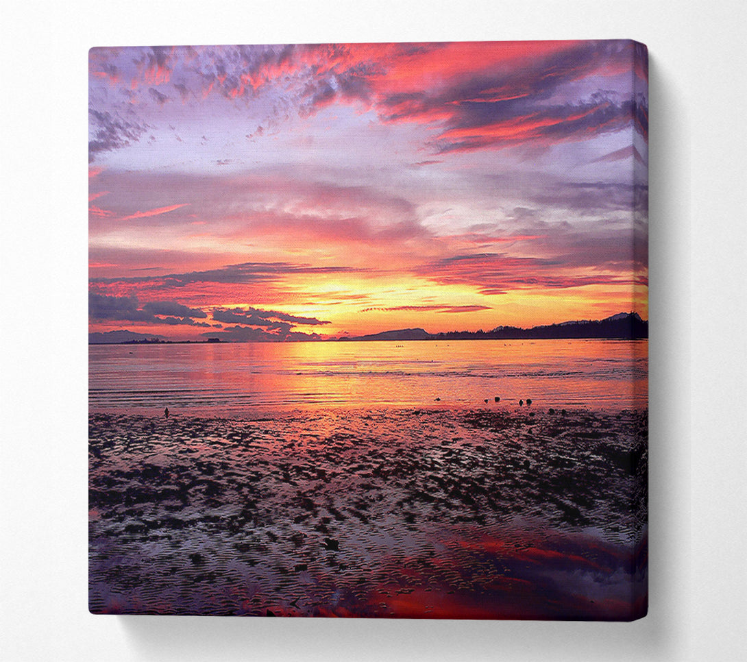  A Canvas Print of Pebbles In the Morning Sunrise Canvas Print