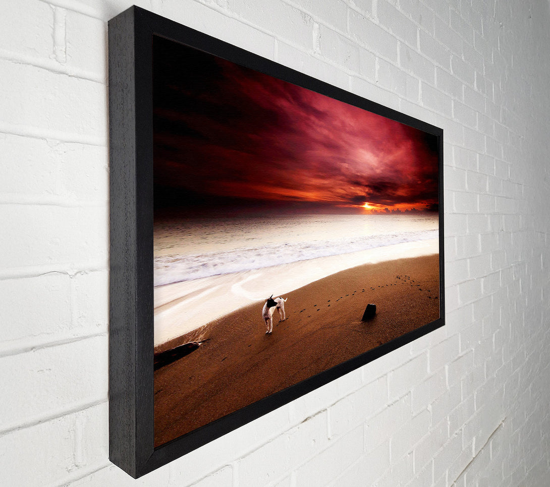  A Canvas Print of Dog On The Sunset Beach Canvas Wall Art