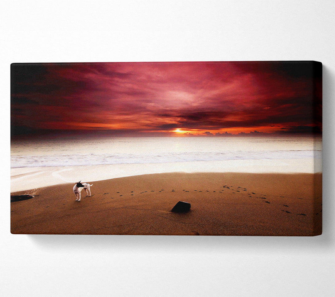  A Canvas Print of Dog On The Sunset Beach Canvas Wall Art