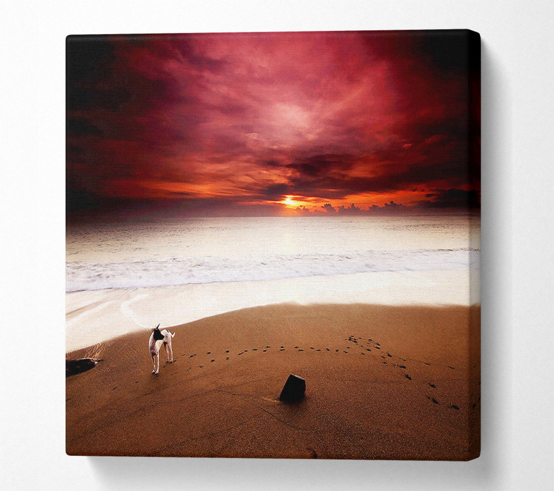  A Canvas Print of Dog On The Sunset Beach Canvas Wall Art