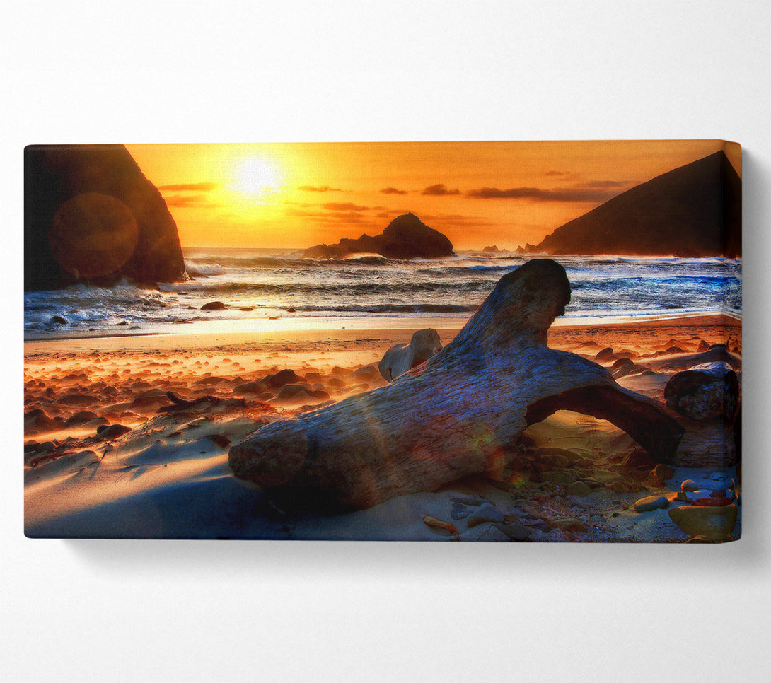  A Canvas Print of Driftwood At Sunset Canvas Art